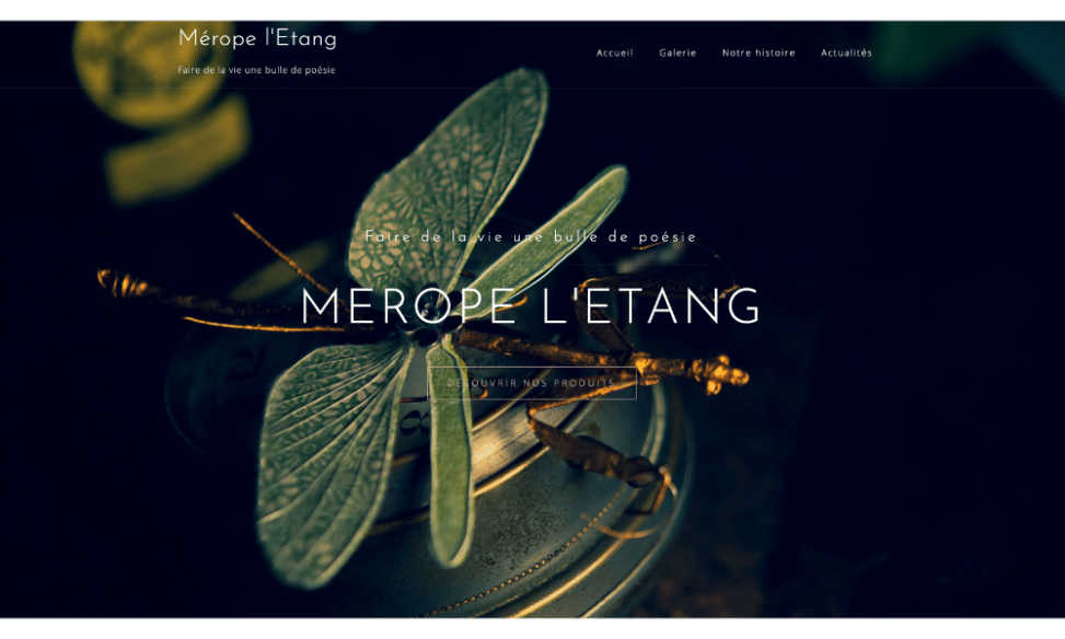 Le site internet de Mérope l'Etang, réalisé par Pict N web