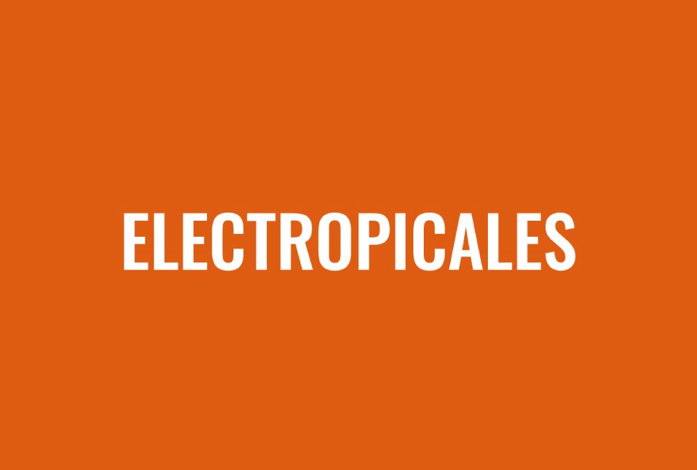 Projet « Les ELECTROPICALES »: Masque 2025, Performances, Référencement SEO