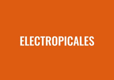 Projet « Les ELECTROPICALES »: Masque 2025, Performances, Référencement SEO